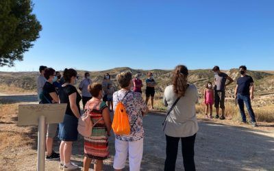 Actividades de la zona media