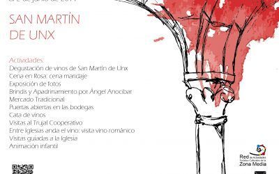 XXI Día del rosado