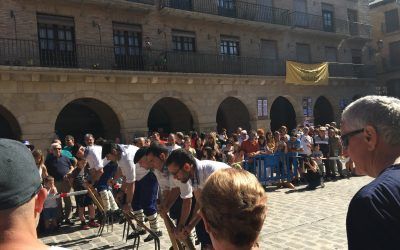 Ferias Tradicionales/OhikoFeriak