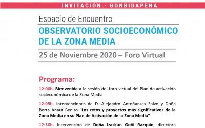 Foro virtual del Observatorio Socioeconómico de la Zona Media