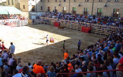 XVI TIERRA DE LA VACA BRAVA / BIGANTXA SUHARRAREN LURRA