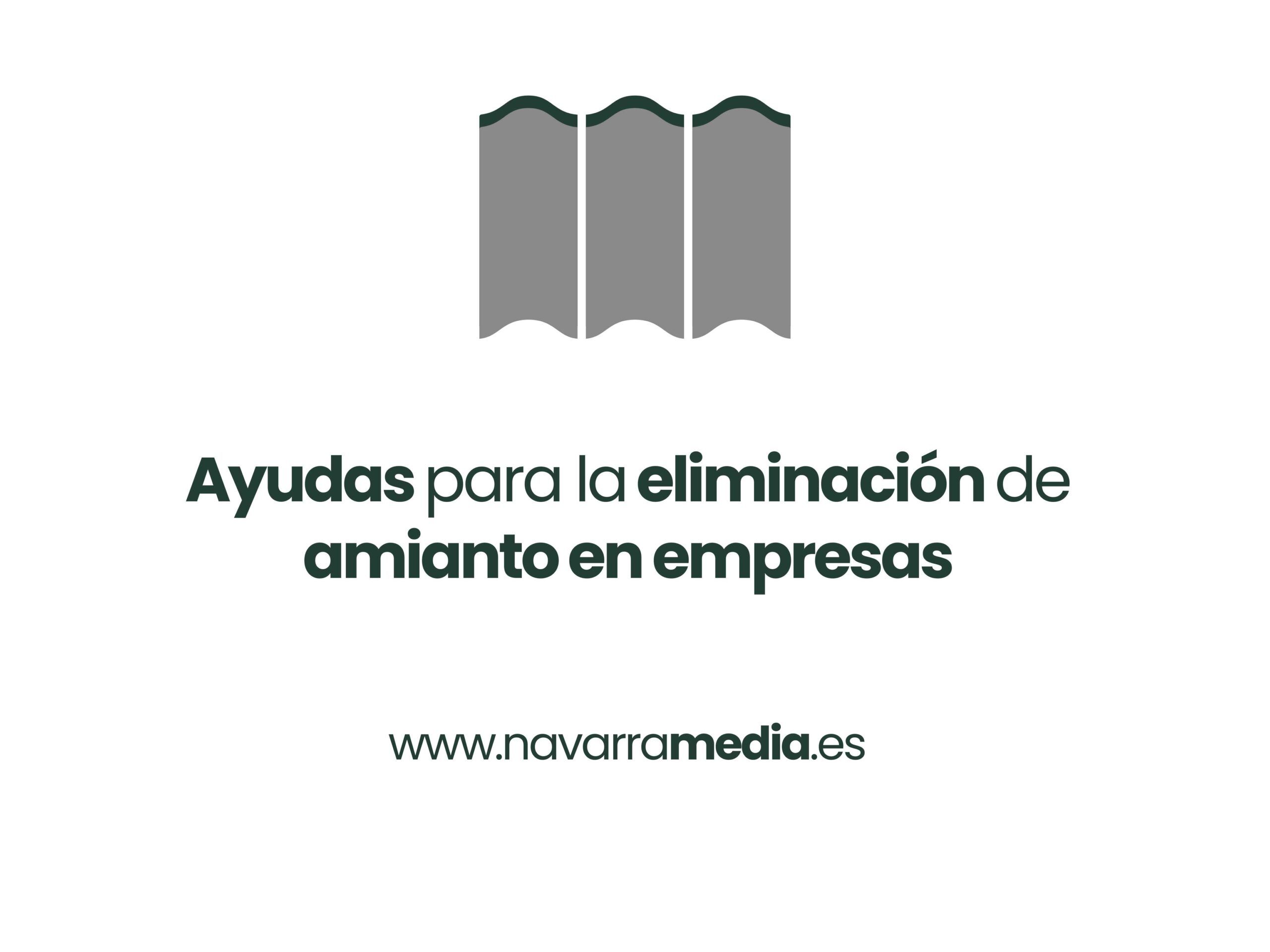 El Gobierno de Navarra aprueba las ayudas para la eliminación de amianto en empresas para compañías con centro de producción en Navarra 