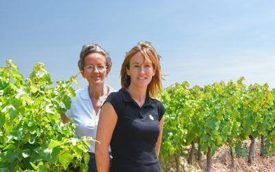 I Jornadas de Accesibilidad de Rutas del Vino de España: Turismo Accesible y Atención al Cliente con discapacidad y otras necesidades diversas en la Ruta del Vino de Navarra
