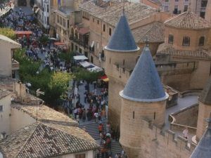 Participa en la XXX edición del Mercado Medieval de Olite/Erriberri